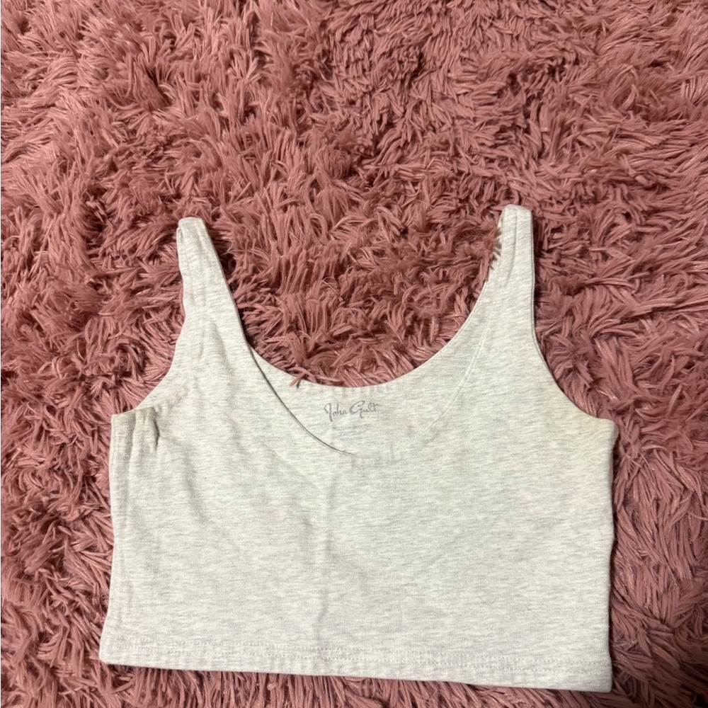 Brandy Melville Light Gray Crop Top